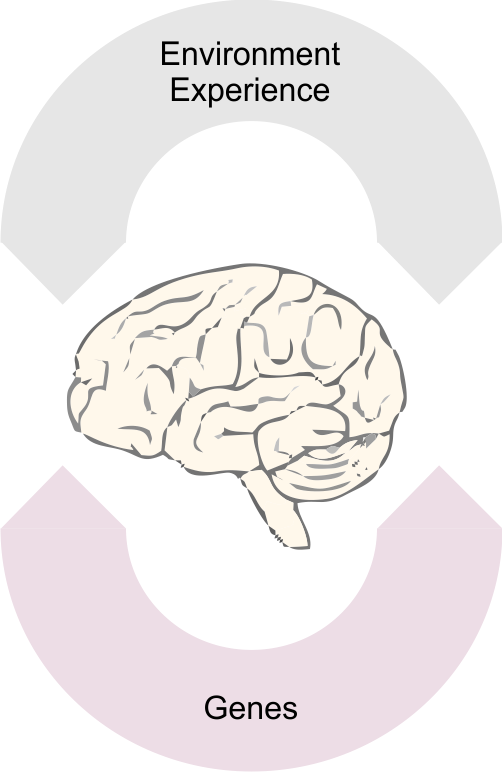 Ribic lab image
