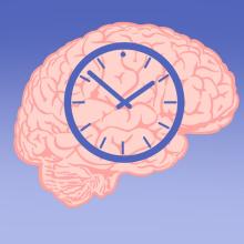 Brain with clock on top