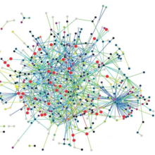 Teague Lab social networks